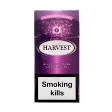 Harvest Blueberry Crush Little – Yaban Mersini Aromalı