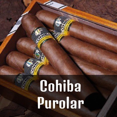 Cohiba Puro