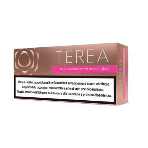 TEREA Teak IQOS Iluma